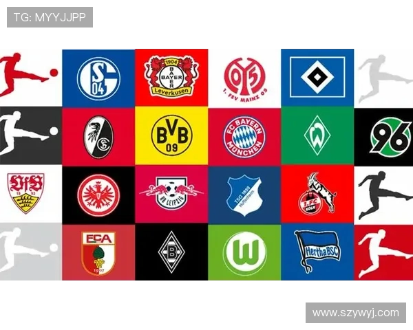 德甲联赛中的十二支球队及其代表性